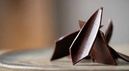 Décors en chocolat tempéré ultra-fins aux formes délicates posés sur surface lisse